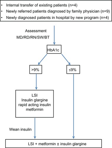 Figure 3 Type 2 diabetes program treatment pathway.