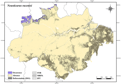 Figure 57. Occurrence area and records of Neusticurus racenisi in the Brazilian Amazonia, showing the overlap with protected and deforested areas.