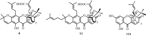 Figure 7.  Absolute configuration of the caged structure of compounds 4, 11, and 114.