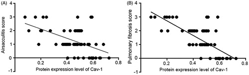 Figure 3. Correlations of caveolin-1 (Cav-1) expression with (a) airsacculitis and (b) pulmonary fibrosis scores in rat.