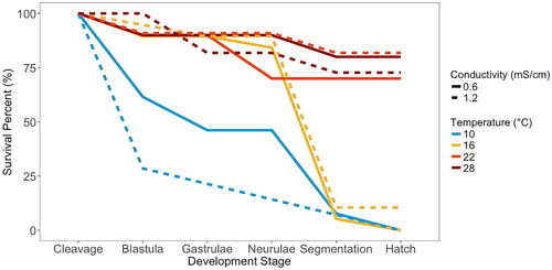 Figure 5. Survival curves through the different stages of embryonic development for each temperature (color) and conductivity (solid or dashed line) treatments.