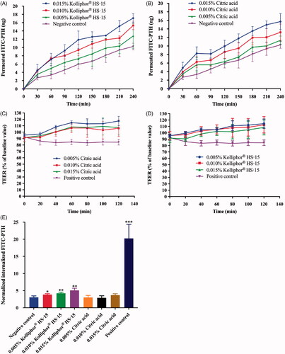 Figure 3. Profile of permeated FITC-PTH vs time for formulations with (A) Kolliphor® HS·15 and (B) citric acid. Reduction in TEER after apical-side application of (C) Kolliphor® HS·15 and (D) citric acid (n = 8). (E) Normalized cellular internalized FITC-PTH for 60 min incubation. (*p < .05; **p < .01; ***p < .001, compared culture medium, n = 8).