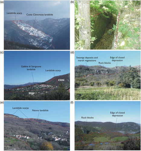 Figure 5. Large-scale landslides types and morphotectonic elements. (a) Costa Clavarezza complex landslide (Vobbia valley) highlighted by snow cover; (b) Trench in a slope near Crocefieschi (Vobbia river valley); (c) Savignone village on landslide deposits downslope of a conglomerate escarpment; (d) counterslope bordering a closed depression with swampy deposits and marsh vegetation close to Mt. Porale; (e) Nenno village complex landslide downslope of scarps in marly limestone and (f) lower part of the Case Tanadorso lateral spread above the contact between clays and conglomerates.