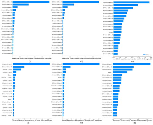 Figure 12. The feature importance results by XAI for Tis port, (a) DT, (b) RF, (c) DNN, (d) XGBOOST, (e) LightGBM, and (f) CatBoost.