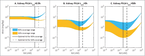 Figure 4. Simulated relationship between required dose and Kd of anti-Fn14 mAb as a function of 1) mFn14 half-life in kidney (0.5, 5, or 50 hours as illustrated in panels), 2) pre-specified target coverage (90% or 50% as illustrated as blue or yellow curve), and 3) sFn14 concentrations (baseline level in healthy subjects to 10 times baseline, as expressed in width of bands). Optimal Kd of anti-Fn14 mAb is the Kd at which the required dose is the lowest (illustrated as vertical lines).