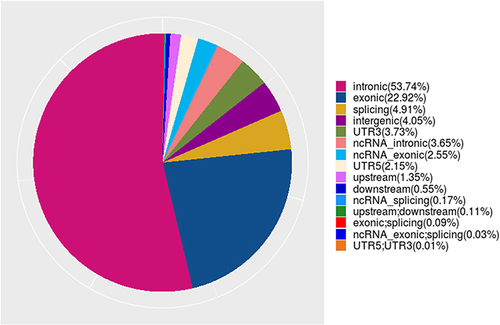 Figure 1 Distribution ratio of SNV/InDel sites in different regions.