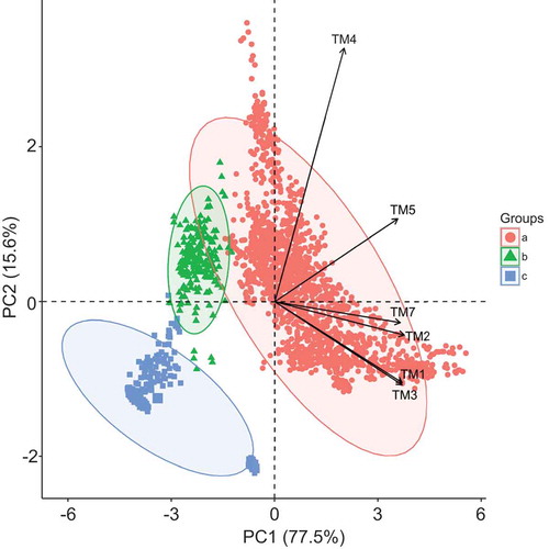 Figure 4. Bi-plot diagram of the PCs derived from TM bands (categories are grouped by colours: (a) non-water; (b) saturated soil; (c) water; 95% ellipses).