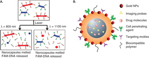 Figure 7. Applications of GNPs. (A) Schematic explaining selective release of drugs. DNA-conjugated GNRs with different aspect ratios for selective release of drug molecules using laser irradiation. (B) GNPs incorporated multifunctional NP-system with both therapeutic and imaging capability. Reproduced with permission from Wijaya et al. Citation2009.