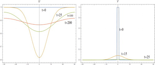 Figure 7. System (I) with m=2, l=1, D=4 and k=0.2.