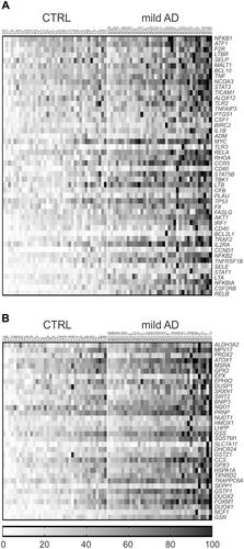 Figure 3 Heat maps of individual gene expression data in the blood of mild AD patients and controls (CTRL). (A) Inflammatory genes. (B) Redox genes. Only genes with mean FC value >1.5 and p<0.01 in the AD group vs the control group are represented. Individual FC values for each gene were obtained by dividing the 2−ΔCt value of each subject to the mean 2−ΔCt value of the control group. Data were normalized and ordered in the heat map according to the average expression levels of all the considered genes, and were scaled considering the highest value as 100%. Heat maps of inflammation and redox genes with FC value<1.5 are presented in Supplementary Figures 1 and 2, respectively.