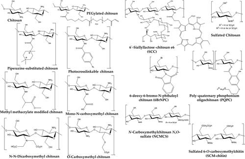 Figure 8. Various chitosan derivatives have a proven antiviral potential (Gopal et al., Citation2023). Copyrights (2023) MDPI.