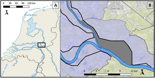 Figure 2. (A) Location of the study area in the Netherlands and (B) the floodplain area of the Rijnwaardense Uiterwaarden (dark grey), including the location of levees (black lines), the border with Germany (dashed line) and the geographical scope of the Gelderse Poort (light grey).
