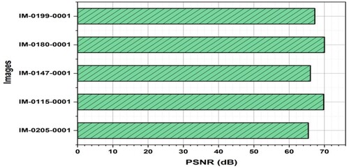 Figure 11. PSNR for the specific encrypted images.