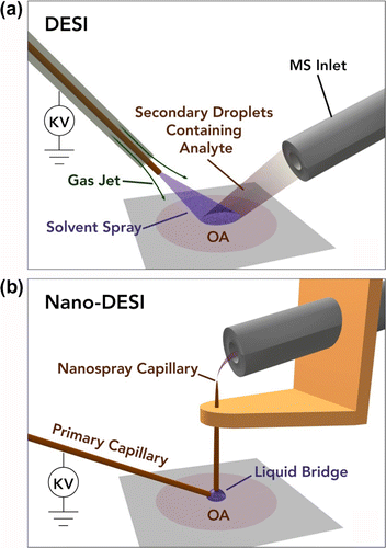 Figure 1 (Colour online) Schematic drawings of two ambient surface ionisation techniques used for the analysis of OA samples: (a) DESI and (b) nano-DESI. Reproduced with permission from Ref. [18].