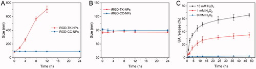 Figure 3. Evaluation of ROS-responsiveness. Size changes of iRGD-TK-NPs and iRGD-CC-NPs after incubation in PBS (pH 7.4) with (A) or without (B) 10.0 mM H2O2 (n= 3). (C) Drug release profiles of UA from iRGD-TK-NPs in the presence of 0, 1.0 mM H2O2, and 10.0 mM H2O2, respectively (n= 3).