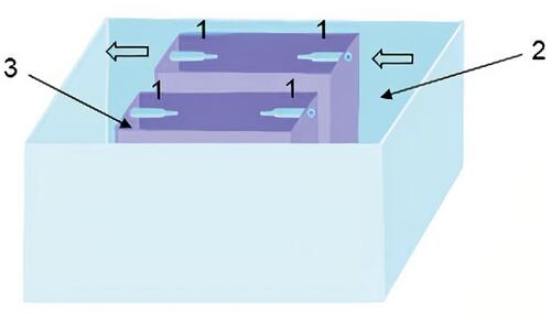 Figure 4 The chamber in which the vessels are placed. 1 - cannulas for lowering vessels, 2 - external chamber, 3 - small chamber. The arrows show the direction of the model fluid.