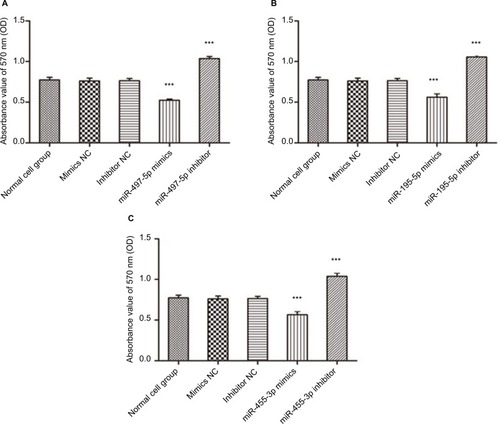 Figure 4 The effects of overexpression of miR-497-5p (A), miR-195-5p (B) and miR-455-3p (C) on cells proliferation.Notes: All data are presented as mean±SD, and all of these experiments were performed in triplicate. ***p<0.001, compared to control groups.Abbreviations: NC, negative control; OD, optical density.