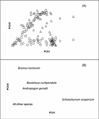 Figure 5.  (A) PCA R-type ordination indicating shortgrass plots (open square), mixedgrass plots (open triangle) and tallgrass plots (open circle), and (B) PCA Q-type ordination where species are labeled with their scientific names.