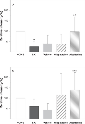 Figure 5 Alcaftadine prevents conjunctival allergen challenge-associated changes in ZO-1 and E-cadherin in conjunctival epithelium. Confocal images were used to calculate relative expression of tight junction proteins in five groups. ZO-1 expression was significantly decreased in sensitized, antigen-challenged (S/C) tissue compared with control tissue (5A, *P ≤ 0.05). Both alcaftadine and olopatadine prevented this decrease, but only alcaftadine values were significantly different from the S/C groups (**P ≤ 0.05). Differences in fluorescence intensity in E-cadherin staining (5B) between naïve and antigen-challenged groups were not significant, but treatment did result in trend of lower expression that was reversed in both active treatment groups. The only comparison that did reach the level of significance was the increase seen in alcaftadine-treated samples compared with the S/C + vehicle group (***P ≤ 0.05).