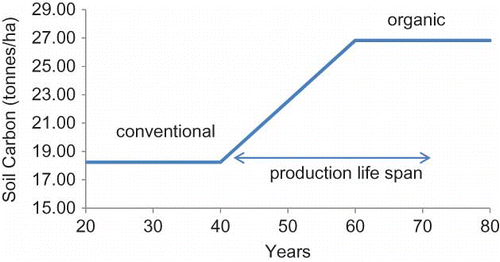 FIGURE 1 Soil carbon profile over a 20 year transition period in a typical conversion from conventional to organic production, based on CitationIPCC (2006) (color figure available online).