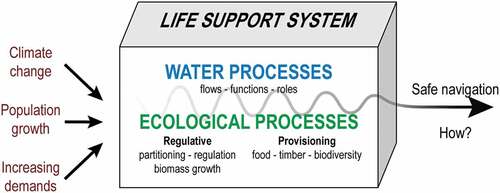 Figure 1. An expanded way to think about water as part of the life-supporting system. Diagram by the author.