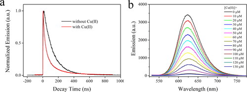 Figure 6. Emission decay dynamics curves (a) of the as-synthesized AuNCs sample (5 W/2 min) without and with Cu(II) (100 μM). Emission spectra (b) of the as-synthesized AuNCs sample (5 W/2 min) upon increasing Cu(II) concentrations from 0 to 130 μM.