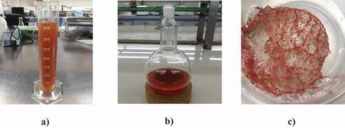 Figure 3. Extracts obtained from the mixture of inedible fractions of vegetables. (a) Crude extract (b) Concentrated extract (c) Dehydrated extract (powder).Figura 3. Extractos obtenidos de la mezcla de las fracciones no comestibles de verduras. (a) Extracto crudo (b) Extracto concentrado (c) Extracto deshidratado (polvo)