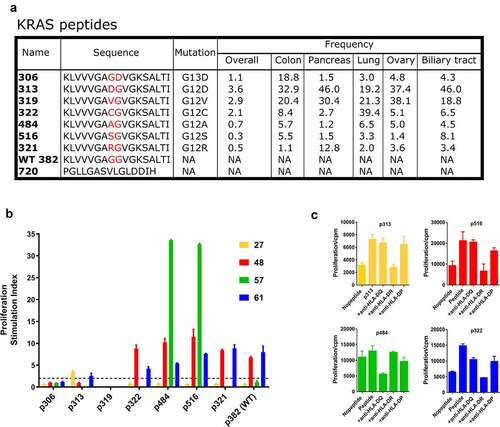 Figure 1. KRAS mutations are shared neoantigens. A. Summary of the peptides used to assess KRAS Radium TCRs specificities. These peptides represent various KRAS mutations found in the population. Mutation frequencies are based on.Citation33