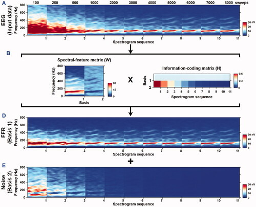 Figure 5. Application of the SSNMF algorithm on EEG recordings obtained in neonatal participants. Grand-averaged spectrograms of the input data (A), spectral-basis matrix (B), information-coding matrix (C), enhanced FFR (D), and extracted noise (E).