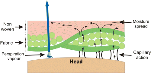 Figure 3 Comfort liner functions in moisture transfer.