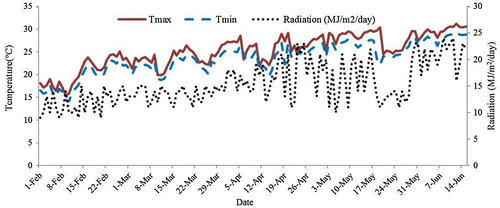 Figure 1. Daily maximum and minimum temperatures and radiation during the crop cycle.