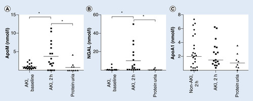 Figure 6. (A & B) Urinary apoM (nmol/l) (A) and urinary NGAL (nmol/l) (B) at baseline (n = 20) and 2 h postoperatively (n = 17) in children with AKI after cardiac surgery and in adult patients with nondiabetic glomerulonephritis and proteinuria (n = 8).Bars represent medians. (C) Urinary apoA1 (nmol/l) at 2 h postoperatively in children without (n = 25) and with AKI (n = 17) after cardiac surgery and in adult patients with nondiabetic glomerulonephritis and proteinuria (n = 8). Bars represent medians.