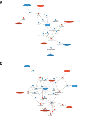 Figure 3. Network plot of Spearman correlations between differential microbes and metabolites at 3 and 9 months compared to baseline for Roux-en-Y gastric bypass. Metabolites are represented as red circles and metabolite classes as red ovals. Microbial genera are represented as blue circles and phyla as blue ovals. Positive and negative correlations are indicated using red and green colors, respectively. SM, sphingomyelins; SMOH, hydroxysphingomyelin; PC, phosphatidylcholine; LYSOC, lysophosphatidylcholine; C, carnitines.