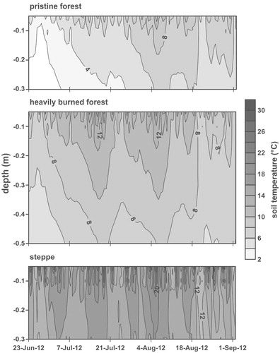 FIGURE 5. Mean soil temperatures (°C) at the upper slope of the pristine forest, the heavily burned forest, and the steppe site. Soil temperatures were measured in triple replicates at depth of 0.05, 0.1, and 0.3 m at all sites and additionally at 0.5 m at the heavily burned site.