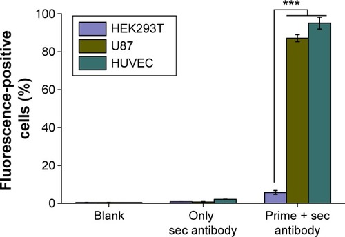 Figure 3 The expression level of αvβ3 integrin on cell surface was analyzed by flow cytometry.Notes: Three cell lines expressing αvβ3 integrin were stained with αvβ3 antibody. Staining was visualized using an FITC-labeled goat polyclonal secondary antibody to mouse IgG monoclonal antibody. Results are expressed as percentage of αvβ3-positive cells (***P<0.001).Abbreviations: FITC, fluorescein isothiocyanate; HEK293T, human embryonic kidney cells; HUVECs, human umbilical vein endothelial cells; IgG, immunoglobulinG; Sec, secondary; U87, human glioma cells.