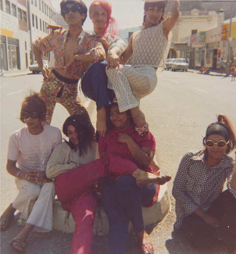 Figure 3. Olivia, Kewpie and Patti, at the back, with Sue Thompson, Brigitte, Gaya and Mitzi, in the front, in Sir Lowry Road. AM2886/129.10.