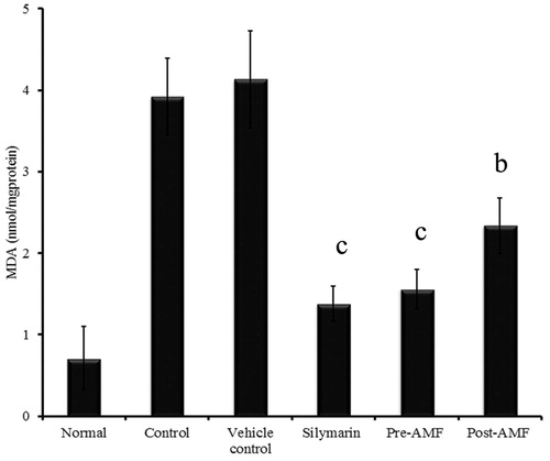 Figure 4. Effect of AMF on lipid peroxidation in the kidney tissue of cisplatin treated mice. The data obtained were represented as mean ± SEM (n = 6) and analysed using one-way ANOVA and group means were compared using the Tukey–Kramer multiple comparison test. The values are statistically different from the control at p < 0.05a, 0.01b and 0.001c and the values >0.05 are considered to be non-significant.
