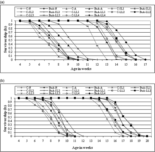 Figure 3. Survivorship (lx) of control and BuA treated males (a) and females (b) of all the members of nasuta-albomicans complex of Drosophila. All the eight races with initial C indicate control and without C is BuA treated.