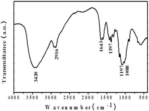 Figure 3. FTIR spectra of ZnO-NPs synthesised from Allium cepa. Allium cepa extract were answerable for the configuration of a variety of nanoparticles. The FTIR range of A. cepa illustrated several assimilation peaks ranged from 3420cm−1 to 500cm−1. Figure 3 shows the representative FT-IR spectra obtained from A. cepa.