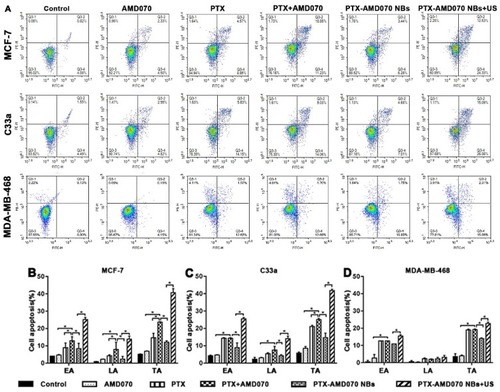 Figure 6 Apoptosis of tumor cells detected by flow cytometry. (A) Apoptosis rates of MCF-7 cells, C33a cells, and MDA-MB-468 cells in the different treatment groups. (B–D) Quantitative comparison of apoptosis rates of MCF-7 cells, C33a cells, and MDA-MB-368 cells between different treatment groups; *There was significant difference in apoptosis rate between the two groups (P<0.05).Abbreviations: EA, early apoptosis; LA, late apoptosis; TA, total apoptosis.