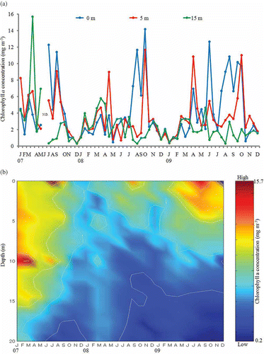 Figure 3. Seasonal changes of GF/F-filtered chlorophyll a concentration in the water column at St. 1 in Onagawa Bay from 2007 to 2009. (a) Chlorophyll a concentration at 0, 5, and 15 m in the water column; (b) vertical profile of chlorophyll a concentration.