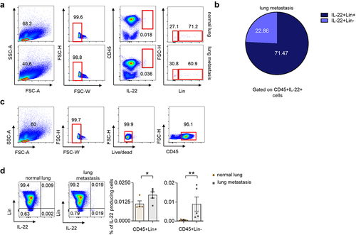 Figure 5. Lin- cells are not the main source of IL-22 in established murine lung metastasis.