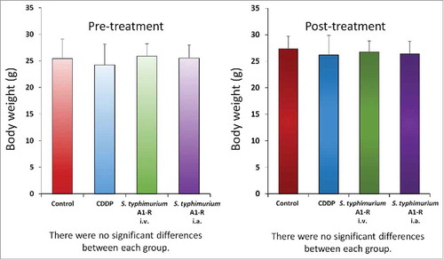 Figure 4. Body weight after various treatments. Bar graphs show body weight in each group at pre-treatment and 2 weeks after drug administration.