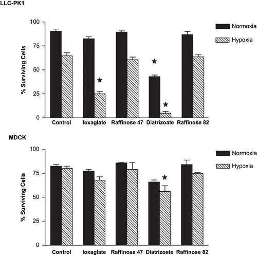 Figure 1. Cell viability assessed by acridine orange and ethidium bromide labeling in LLC-PK1 and MDCK cell lines. Briefly, semi-confluent LLC-PK1 or MDCK cells were treated with ioxaglate (10%, 32 mg of iodine per mL), raffinose 47 mOsm/kg (osmolality control of ioxaglate at 6%), diatrizoate (6%, 22 mg of iodine per mL) or raffinose 82 mOsm/kg (osmolality control of diatrizoate at 10%) for 24 hours. Additionally, exposure to hypoxia were performed to both cell lines by injecting a gaseous mixture of 95% of nitrogen and 5% of carbon dioxide during 20 minutes and maintaining for 24 hours, concomitantly to the chemical treatments. After this period, cells were detached from culture flasks and incubated with 0.3 μl of a solution containing acridine orange and ethidium bromide, both at 50 μg/mL, and examined under fluorescent light. In each sample, a total of 100–200 cells were counted in order to determine the percent rate of viable cells. Data are expressed as mean ± SEM. The bars assigned are significantly different from the respective control condition.