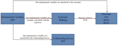 Figure 1 Selecting instrumental variables.