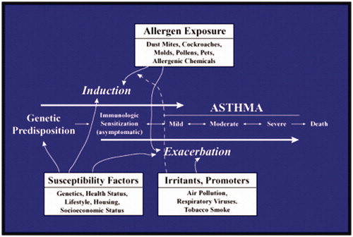 Figure 1. Factors involved in the induction and exacerbation of asthma. *Reprinted from EPA website.