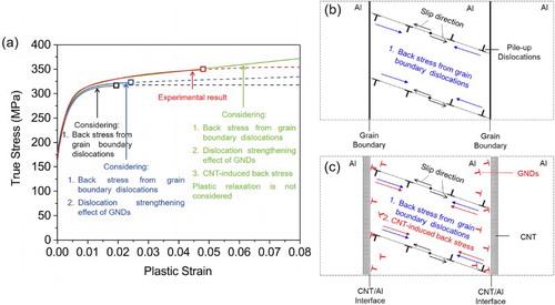 Figure 4. (a) Theoretical and experimental stress–strain curves of 2 vol.% CNT/Al composites. The symbols □ mark the start points of necking determined by the Considère criterion, the solid lines are the stress–strain curves of the strain hardening stage and the dashed lines are the stress–strain curves of the necking stages. (b) and (c) Illustration of the origin of grain boundary back stress and CNT-induced back stress (image force and GNDs).