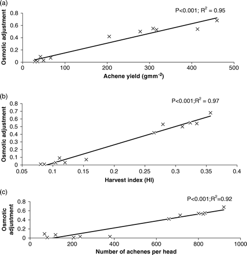 Figure 7.  The response of (a) achene yield (b) HI (c) number of achenes per head to the variation in osmotic adjustment across all genotypes under drought regime.