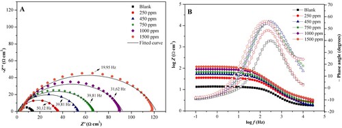 Figure 6. (A) Diagram of Nyquist and (B) Bode diagram, obtained in the absence and presence of the ethanol extract of J. brandegeeana for carbon steel AISI 1020 in H2SO4 1.0 mol L−1.