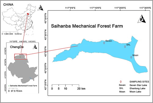 Figure 1. Three different lakes (Moon Lake, Seven Star Lake and Shenlong Lake) were selected and sampled in two different months (September 2021 and December 2021) in the Saihanba Mechanical Forest Farm. The study area has a cold climate with a large temperature difference throughout the year.